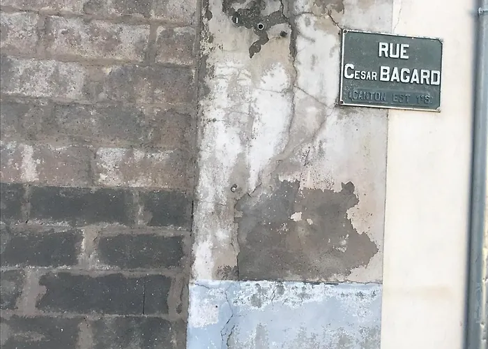 Le XV